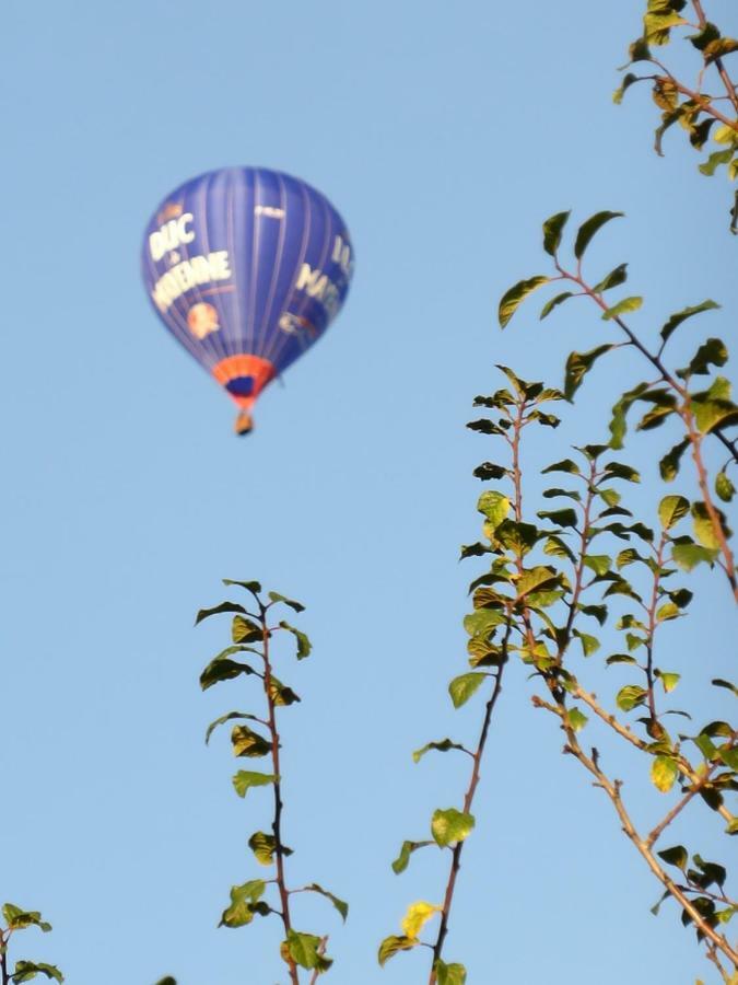 Le Petit Verger, 1 Impasse De La Fenouillere 61330 Céaucé Εξωτερικό φωτογραφία